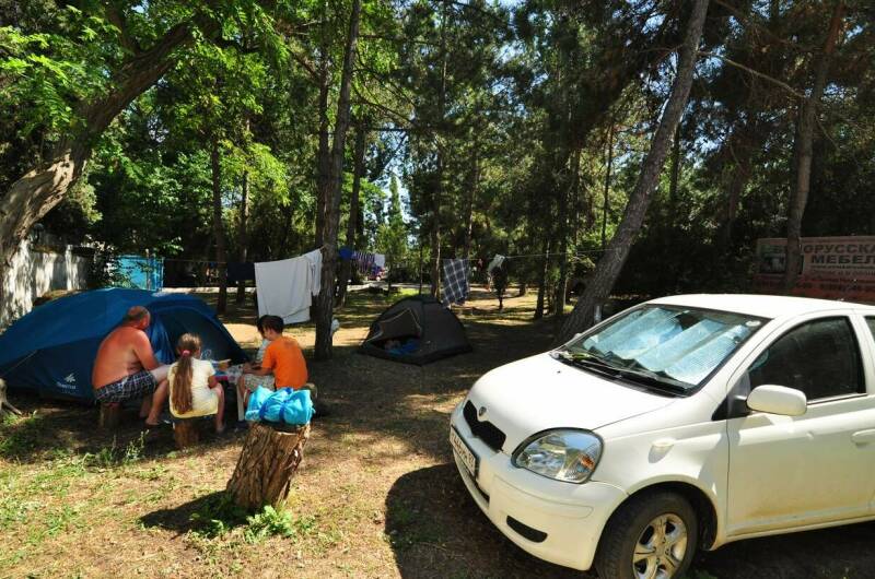 Изображение Изображение отеля / гостиницы "База отдыха «Голубые Ели»" #11 #9