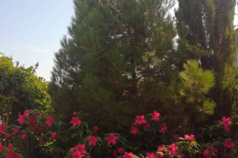 Изображение Изображение гостиницы "Гостевой дом «На Армейской»" #3 #3