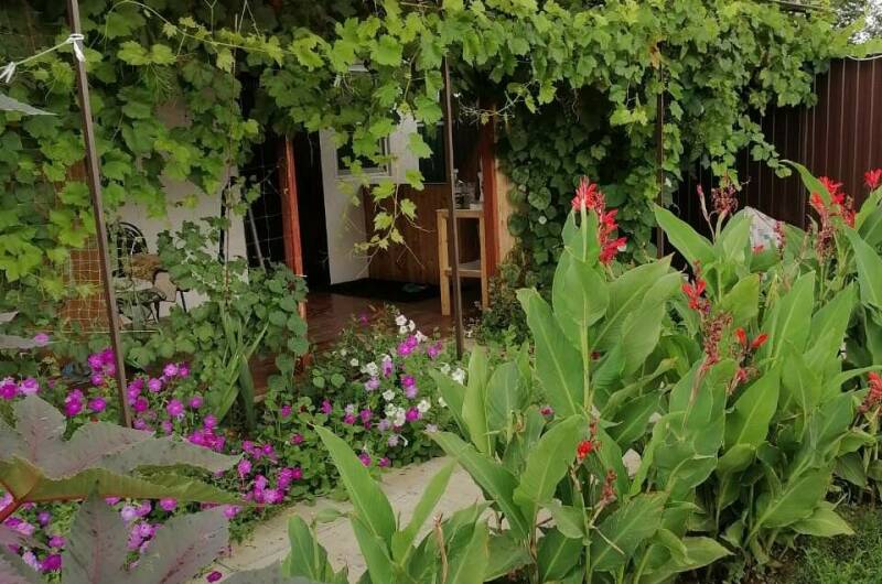 Изображение Изображение гостиницы &quot;Гостевой дом «Азовский бархат»&quot; #7 #7