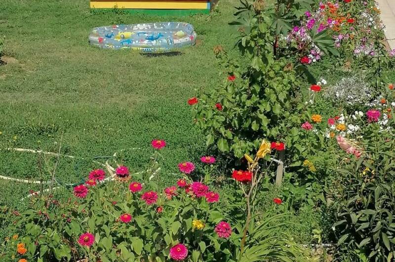 Изображение Изображение гостиницы &quot;Гостевой дом «Азовский бархат»&quot; #8 #8