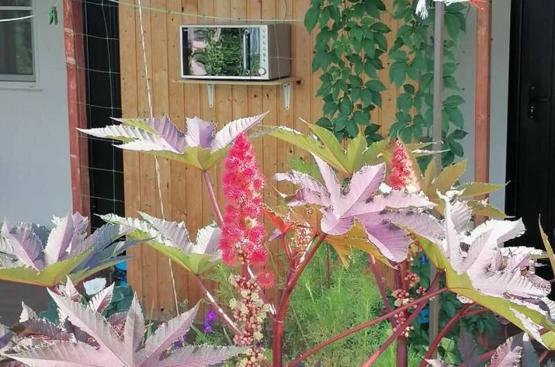 Изображение Изображение отеля / гостиницы "Гостевой дом «Азовский бархат»" #11 #9