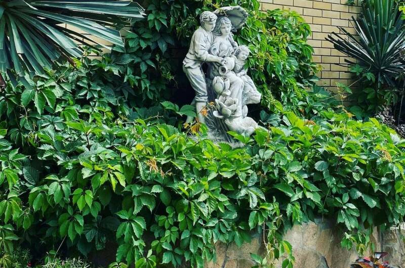 Изображение Изображение гостиницы &quot;Гостевой дом «Анжела»&quot; #4 #4