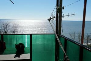 Изображение Гостевой дом «У Алика» #2