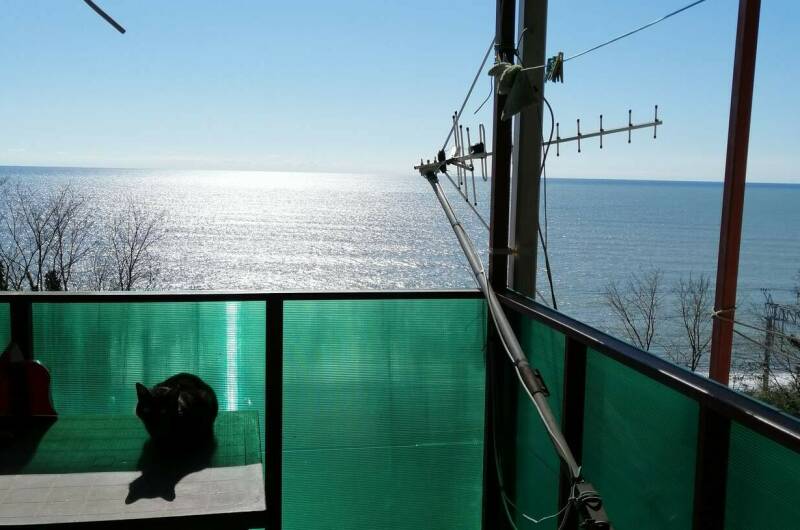 Изображение Изображение гостиницы "Гостевой дом «У Алика»" #1 #1