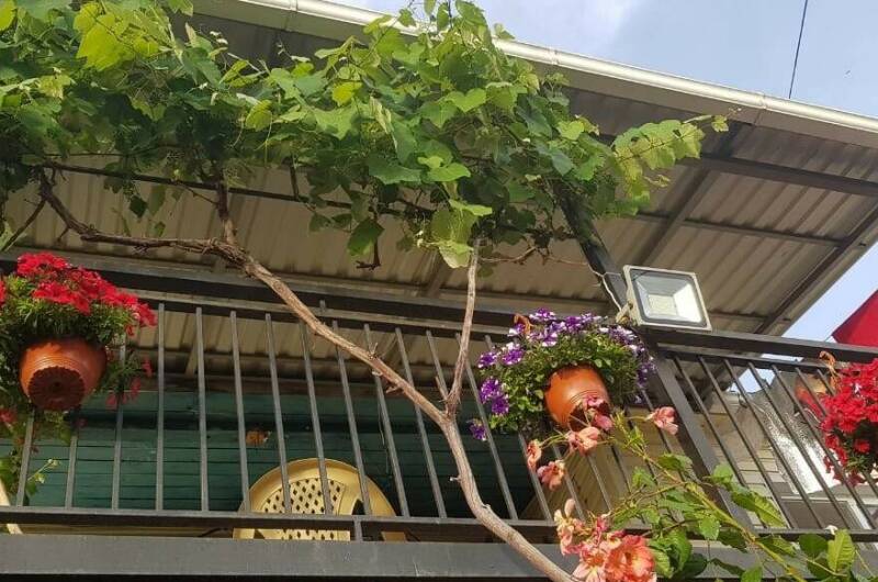 Изображение Изображение гостиницы &quot;Гостевой дом «Кристина»&quot; #2 #2