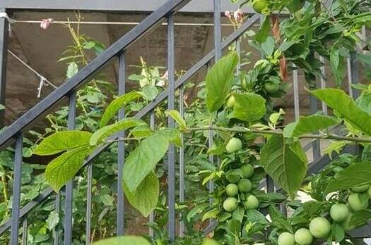 Изображение Изображение гостиницы &quot;Гостевой дом «Кристина»&quot; #5 #5