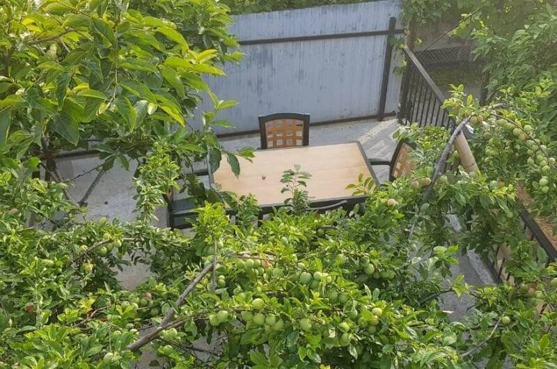 Изображение Изображение гостиницы &quot;Гостевой дом «Кристина»&quot; #6 #6