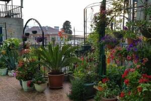 Изображение гостиницы "Гостевой дом «Валентина»"