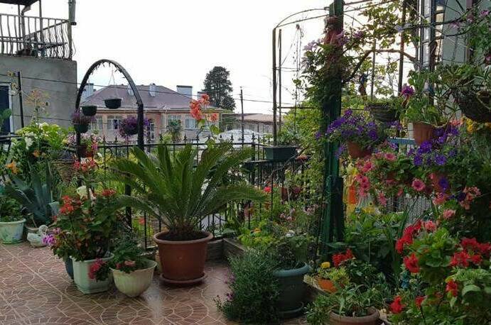 Изображение Изображение гостиницы &quot;Гостевой дом «Валентина»&quot; #1 #1