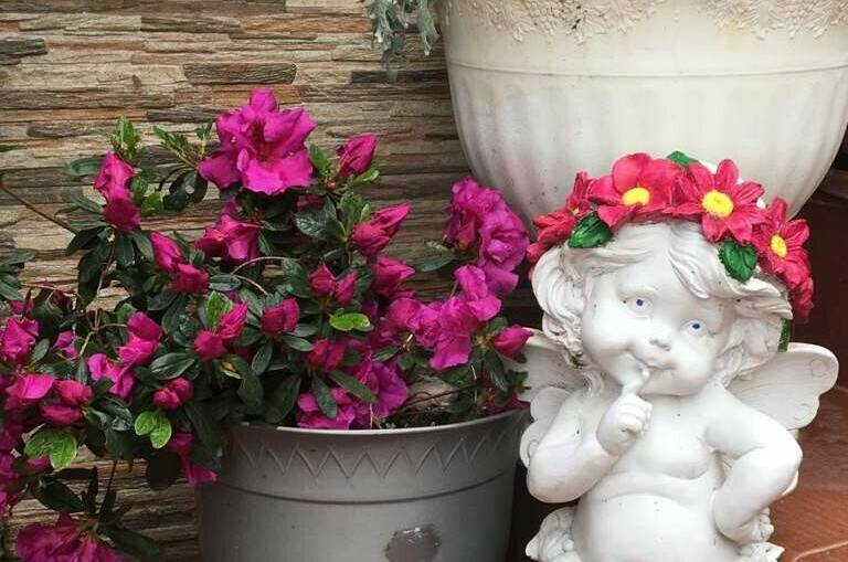 Изображение Изображение гостиницы &quot;Гостевой дом «Валентина»&quot; #4 #4