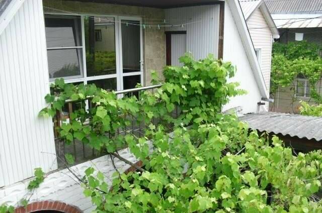 Изображение Изображение гостиницы "Отдых «У Инны»" #3 #3