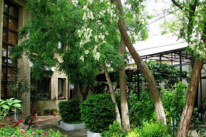 Изображение Изображение гостиницы &quot;Дом в Литфонде&quot; #3 #3