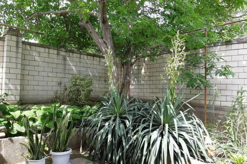 Изображение Изображение квартиры / апартамента "Дом под ключ" #10 #8