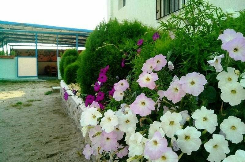 Изображение Изображение отеля / гостиницы "Пансионат «Штиль»" #11 #9