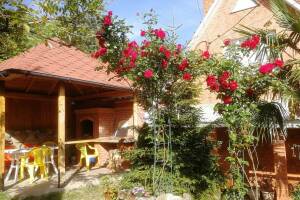 Изображение отеля / гостиницы "Гостевой дом «Аше»"