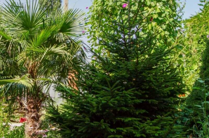 Изображение Изображение гостиницы &quot;Гостевой дом «Аше»&quot; #6 #6