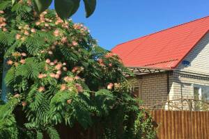 Изображение Дом под ключ «Уютный дворик» #4