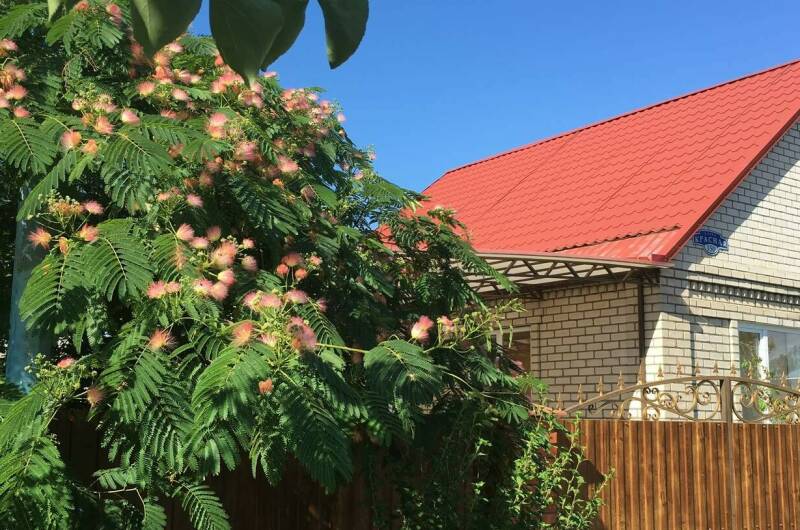 Изображение Изображение квартиры "Дом под ключ «Уютный дворик»" #1 #1