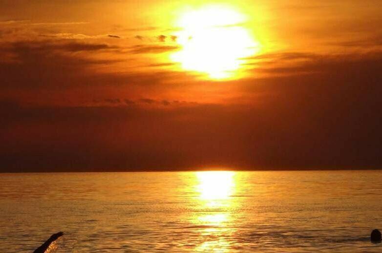 Изображение Изображение квартиры / апартамента "Апартаменты у моря" #11 #9