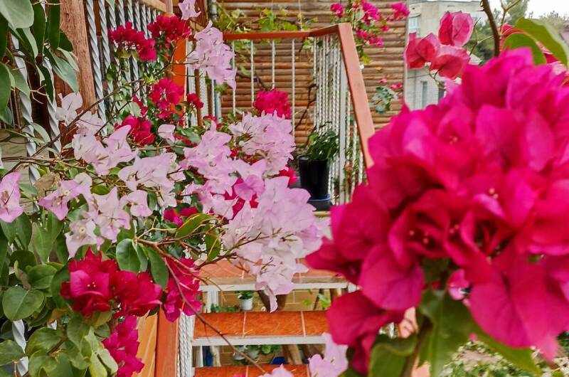 Изображение Изображение гостиницы &quot;Гостевой Дом на Зерновской&quot; #2 #2