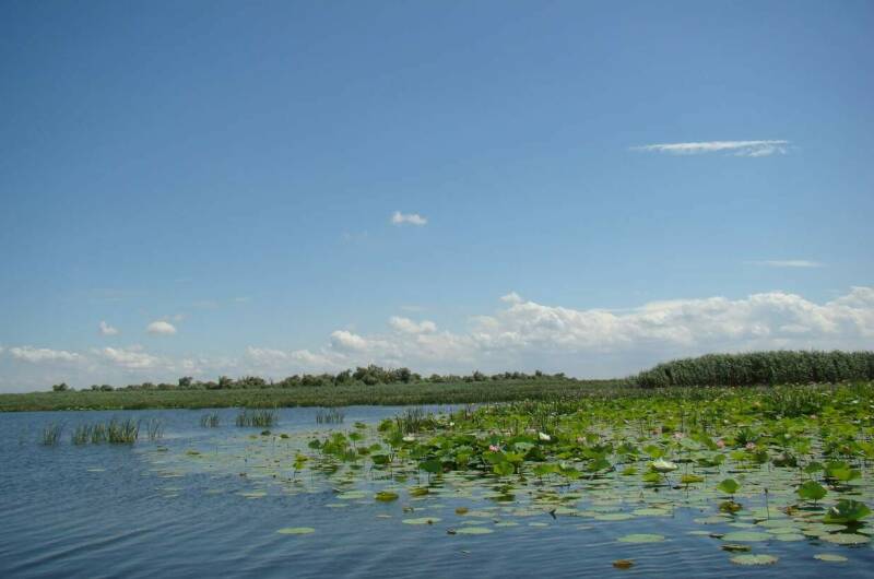 Изображение Изображение квартиры &quot;Дом под ключ «Азовские дачи»&quot; #3 #3