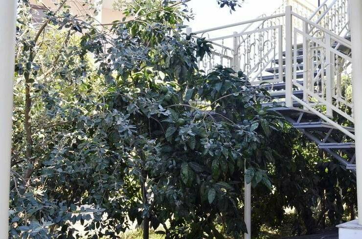 Изображение Изображение гостиницы "Гостевой дом «Эвелина»" #4 #4