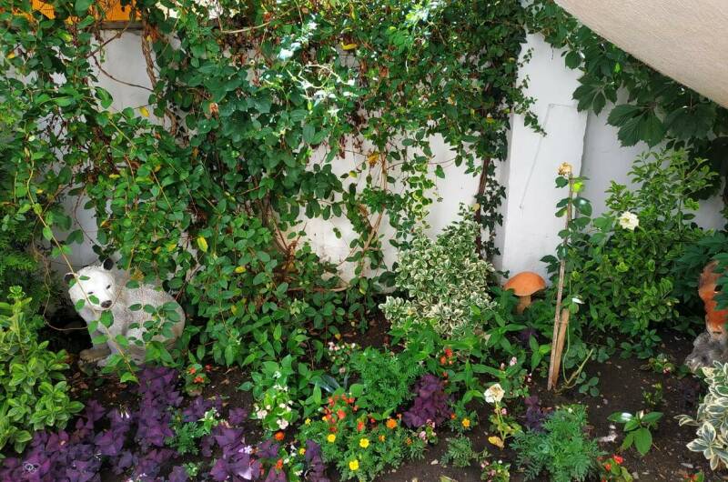 Изображение Изображение отеля / гостиницы "Гостевой дом «Христина»" #10 #8