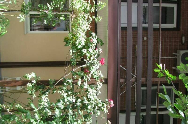 Изображение Изображение гостиницы "Частный сектор на Тельмана" #3 #3