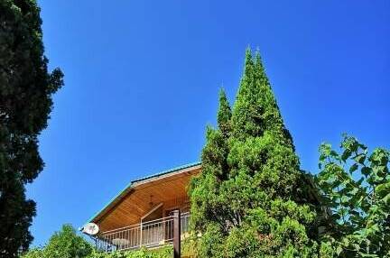 Изображение Изображение гостиницы "Гостевой дом «Светлана»" #1 #1