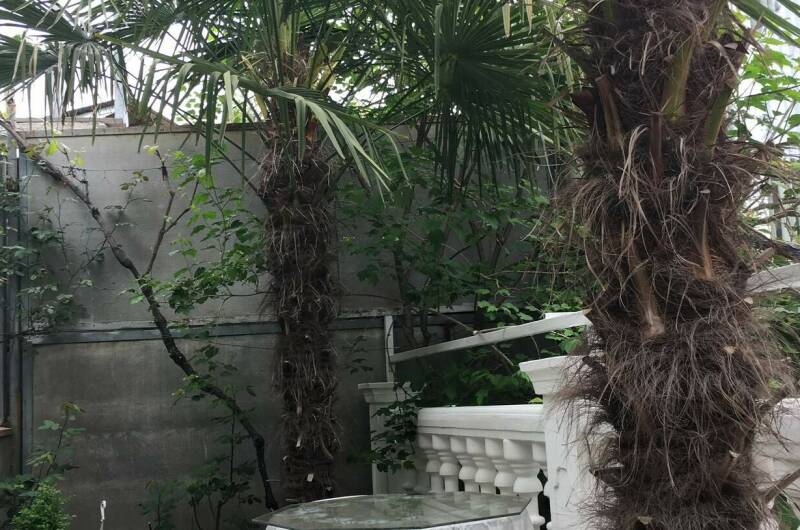 Изображение Изображение отеля / гостиницы "Мини-гостиница «Наш Дом»" #11 #9