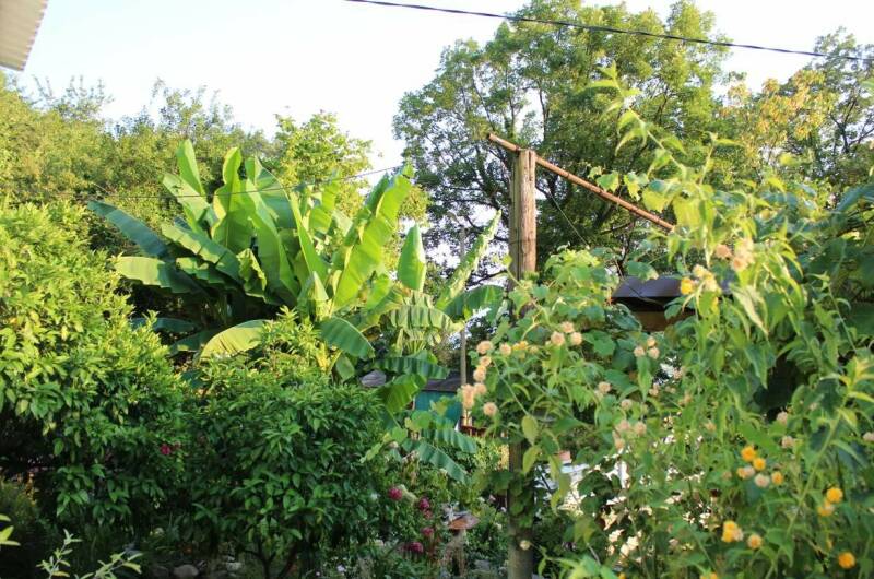 Изображение Изображение гостиницы &quot;Гостевой дом «Александра»&quot; #5 #5