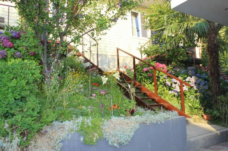 Изображение Изображение отеля / гостиницы "Гостевой дом «Александра»" #10 #8