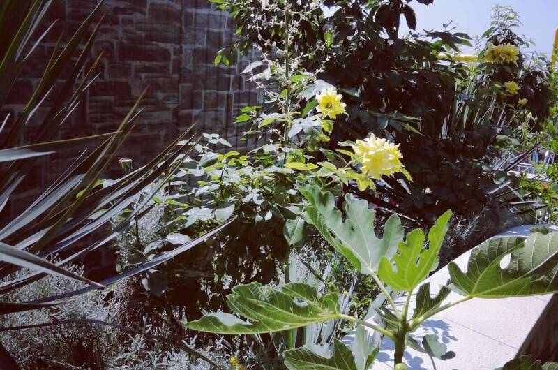 Изображение Изображение отеля / гостиницы "Гостевой дом #NeNaSevere" #11 #9