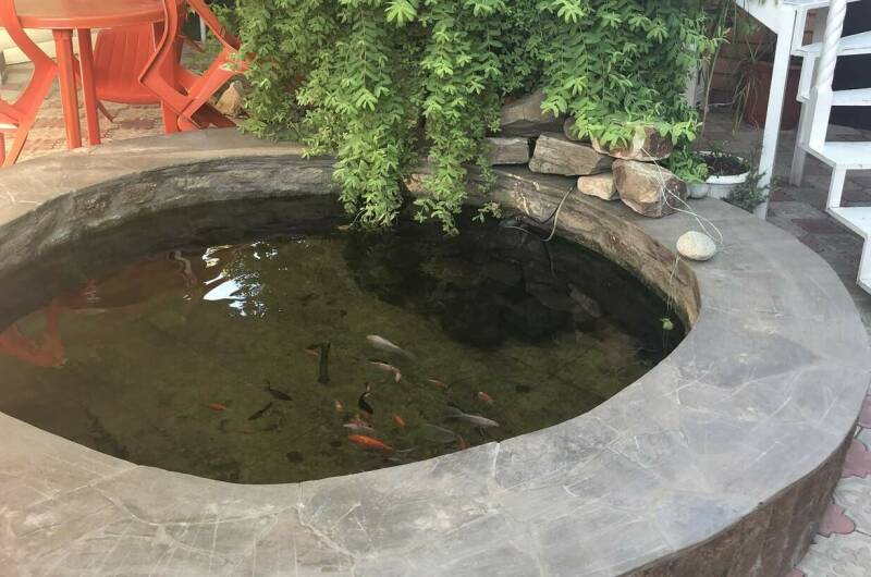 Изображение Изображение гостиницы &quot;Частный сектор на Школьной 20&quot; #6 #6