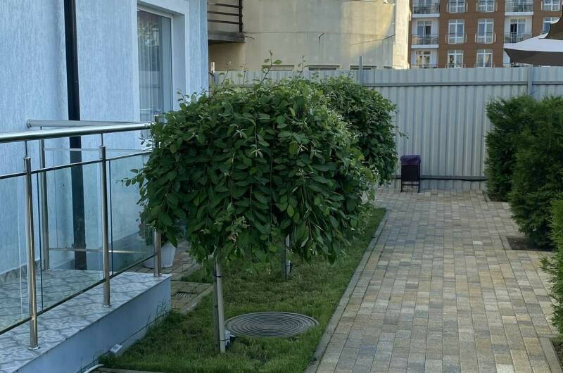 Изображение Изображение гостиницы &quot;Мини-гостиница «Вилла Вера»&quot; #7 #7