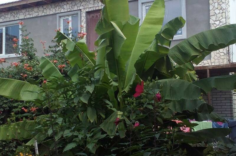 Изображение Изображение гостиницы &quot;Гостевой дом на Головина 29&quot; #3 #3