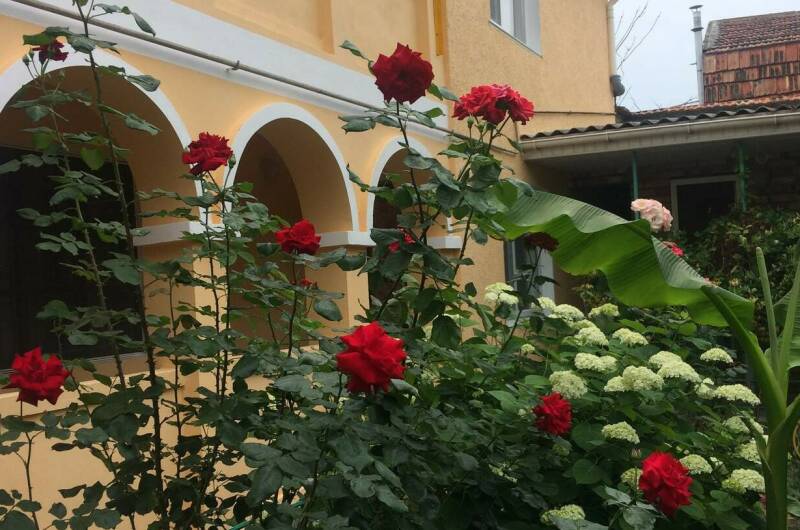 Изображение Изображение гостиницы &quot;Гостевой дом на Головина 29&quot; #5 #5