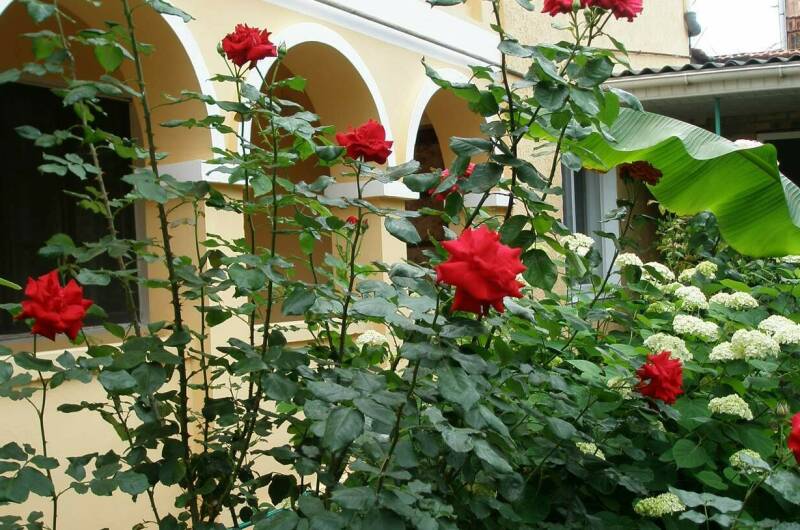 Изображение Изображение гостиницы &quot;Гостевой дом на Головина 29&quot; #6 #6