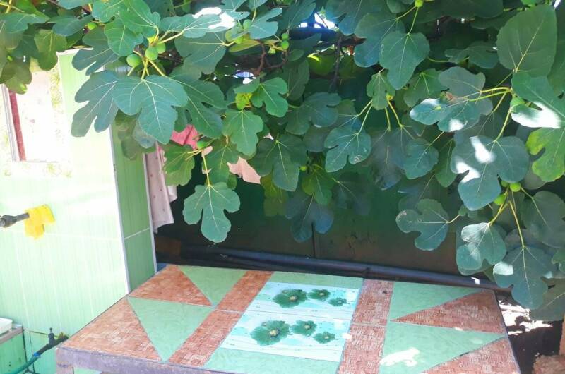 Изображение Изображение квартиры "Душевный домик рядом с морем и озером" #6 #6