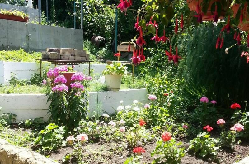 Изображение Изображение отеля / гостиницы "Частный дом «Анна»" #10 #8