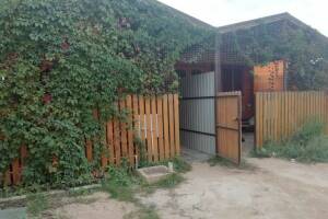 Изображение Домики у Азовского моря #4