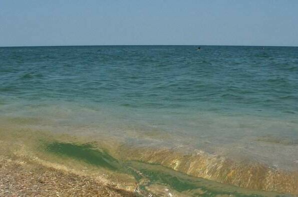 Изображение Изображение гостиницы "Домики у Азовского моря" #6 #6