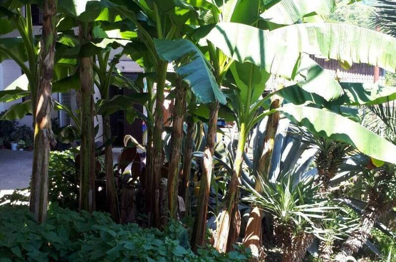 Изображение Изображение гостиницы &quot;Гостевой дом «У моря»&quot; #7 #7