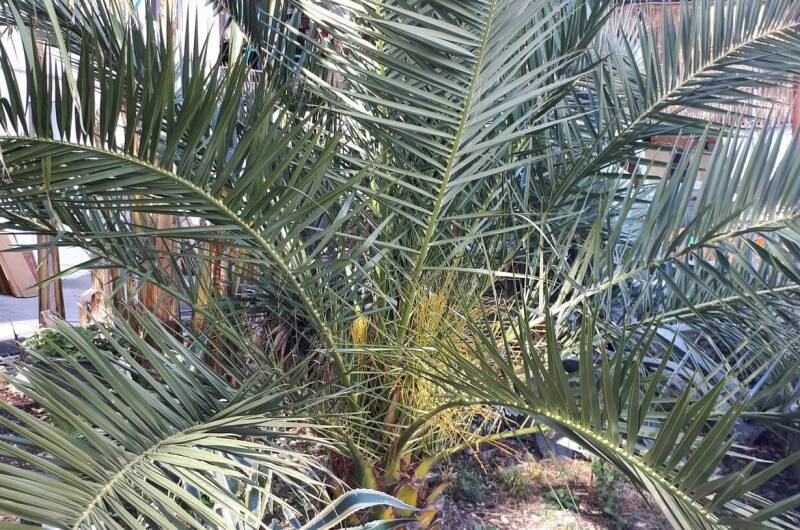 Изображение Изображение гостиницы &quot;Гостевой дом «У моря»&quot; #8 #8