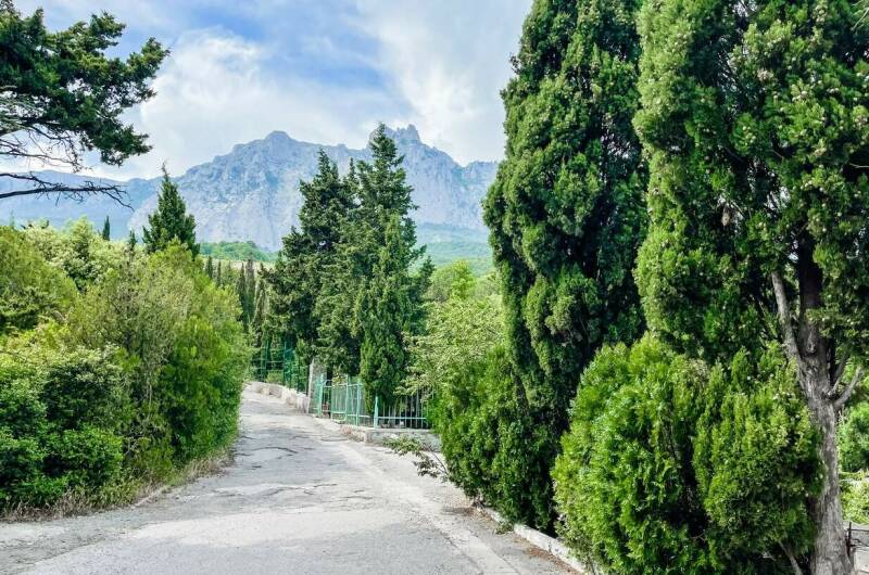 Изображение Изображение гостиницы &quot;Отель «Имение князей Трубецких»&quot; #8 #8