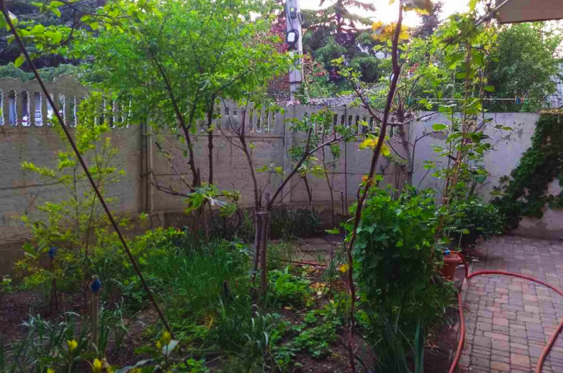 Изображение Изображение гостиницы &quot;Гостевой дом «Вояж»&quot; #8 #8