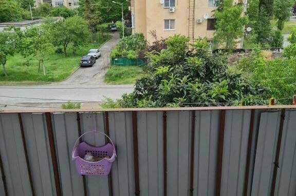 Изображение Изображение квартиры "Однокомнатная квартира у моря" #6 #6