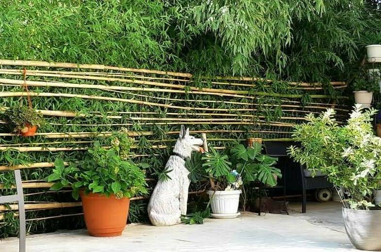 Изображение Изображение квартиры / апартамента "Дом под ключ «К Журавлям» на 5−9 гостей" #11 #9