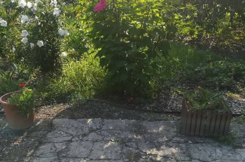 Изображение Изображение гостиницы &quot;Частный сектор «У Сусанны»&quot; #3 #3