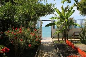 Изображение отеля / гостиницы "Гостевой дом «Дарина-море»"